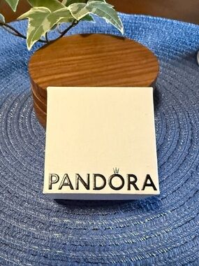 Pandora Charm Box